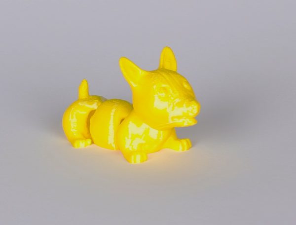 Corgi Jiglitz