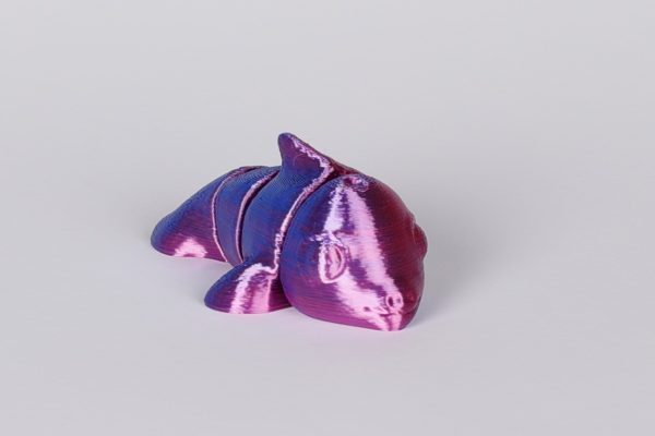 Dolphin Jiglitz