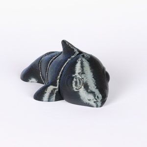 Dolphin Jiglitz