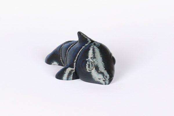 Dolphin Jiglitz
