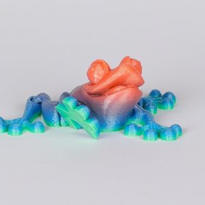 Rainbow Magnetic Frog Jiglitz