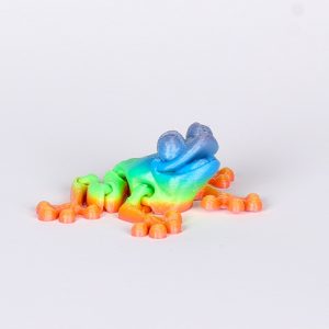 Rainbow Magnetic Frog Jiglitz