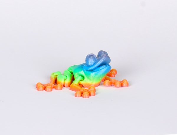 Rainbow Magnetic Frog Jiglitz
